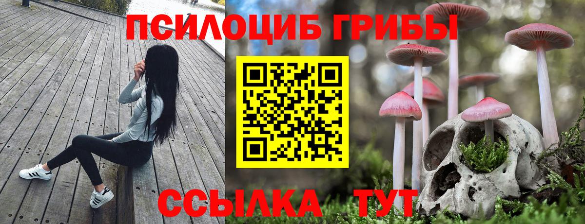 Истра  Галлюциногенные грибы прущие грибы  Вход с VPN 
