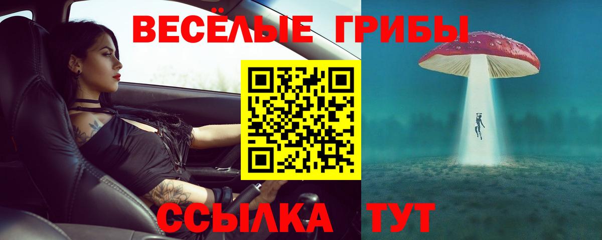 Галлюциногенные грибы Psilocybine cubensis Истра